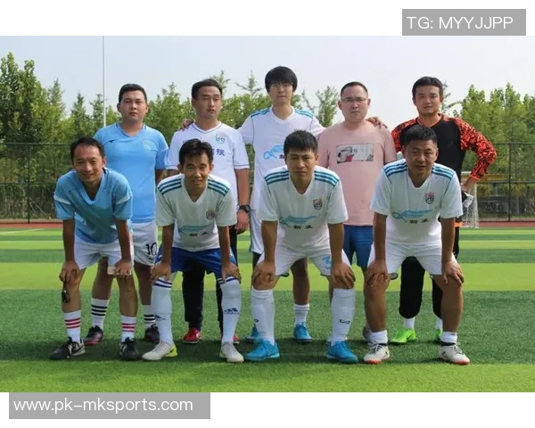 南阳省十大足球明星球队全景解析与实力对比 南阳省十大足球明星球队全景解析与实力对比